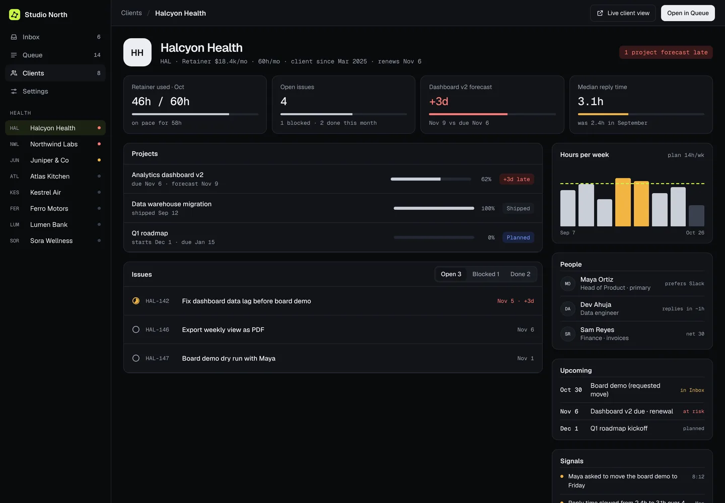 Client workspace for Halcyon Health: retainer use, forecast, projects, issues, weekly hours and people